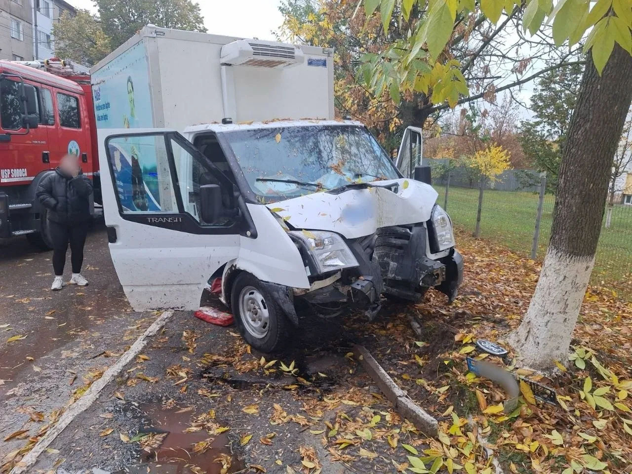 В Сороках Ford Transit врезался в дерево: водитель умер в больнице.