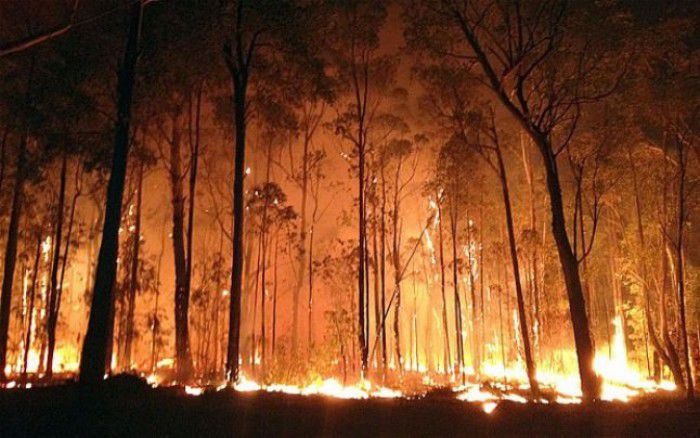 Incendii de vegetaţie puternice în Franţa şi Spania. Foto: adevărul.ro