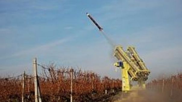 Culturile agricole ar putea fi compromise, dacă vor cădea, din nou, ploi cu grindină. Foto: bzi.ro