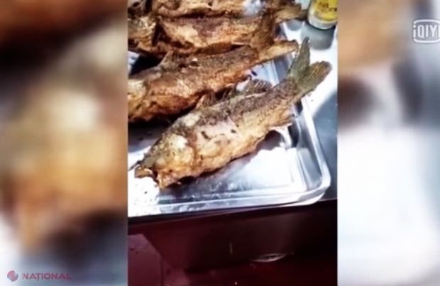 Un pește a început să miște după ce a fost prăjit