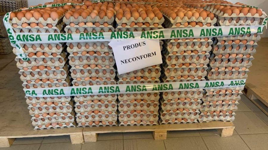ANSA отзывает из продажи партию яиц с сальмонеллой.
