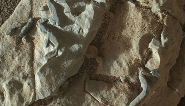 Roverul Curiosity a descoperit pe Marte structuri la fel ca fosilele