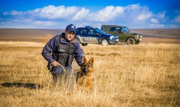 Bilanțul săptămânii: Neregulile depistate la frontieră