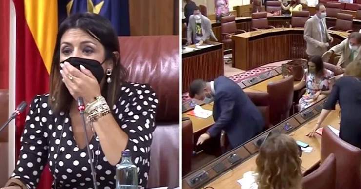 Крыса помешала заседанию парламента в испанской Андалусии.