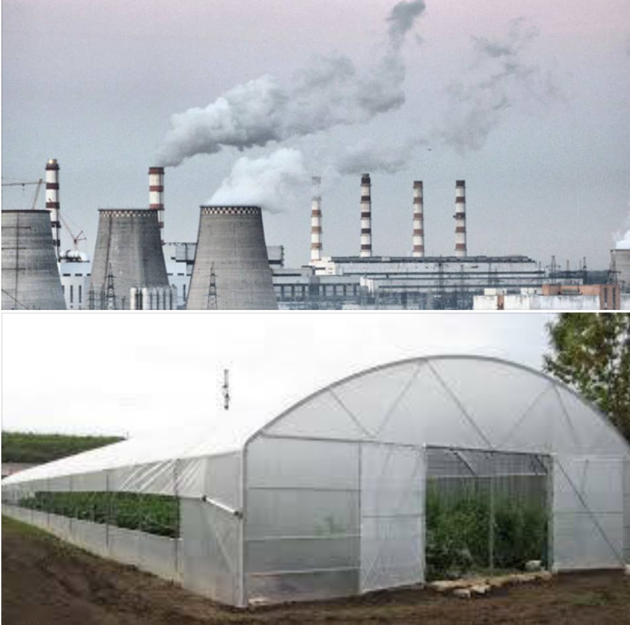 Зотя пожаловалась в прокуратуру на неиспользование румынского мазута.