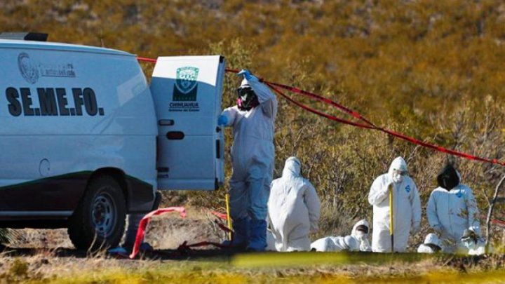 Descoperirea înfiorătoare făcută de autoritățile din Mexic