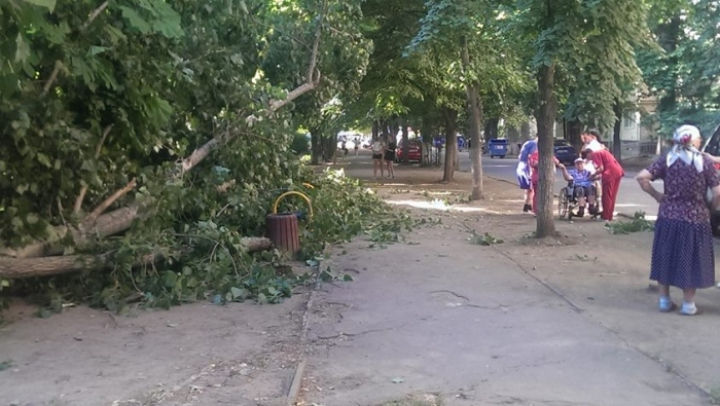 Furtună în Ucraina! Patru decedați din cauza fulgerului