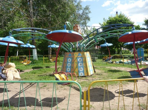 За несколько минут развлечений посетители платят от 3 до 20 леев. Фото: slanpark.ru