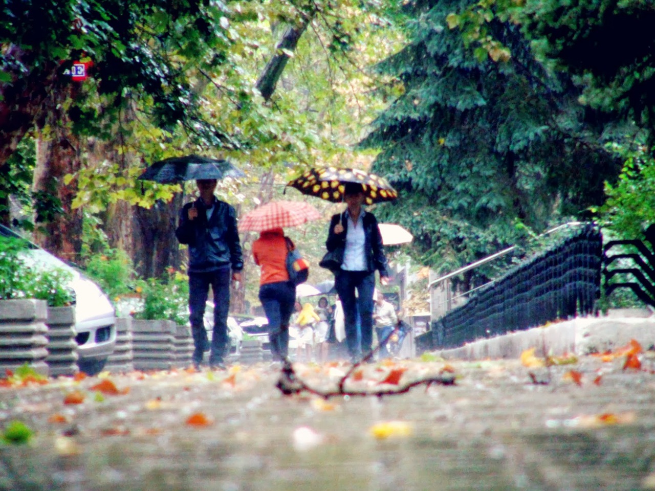 În următoarele zile vremea se anunţă stabilă, fără precipitaţii, dar va fi din ce în ce mai rece.