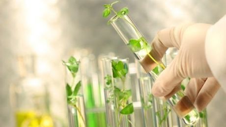 Două studente de la Universitatea de Medicină din Chişinău au fost premiate peste hotare, pentru invenţiile realizate. Foto simbol: blogspot.com