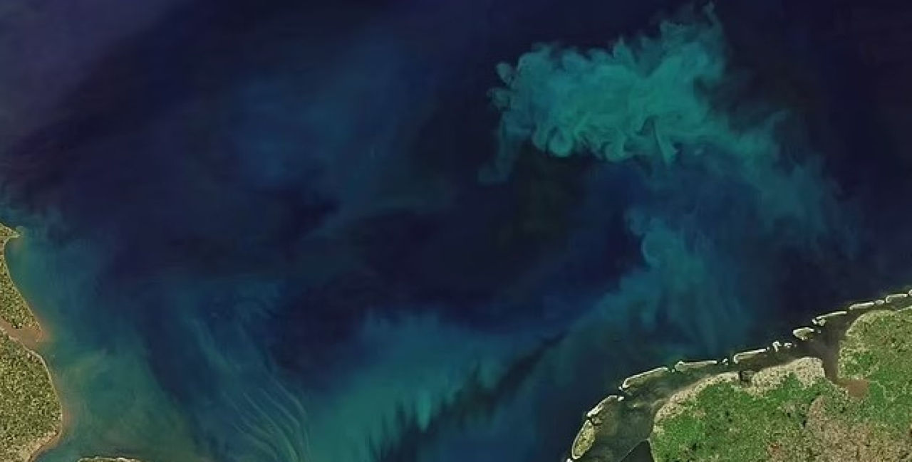 Более 50% земных океанов изменили цвет за последние 20 лет.