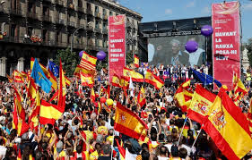 Preşedinta Parlamentului Catalan a ieşit din închisoare pe cauţiune.