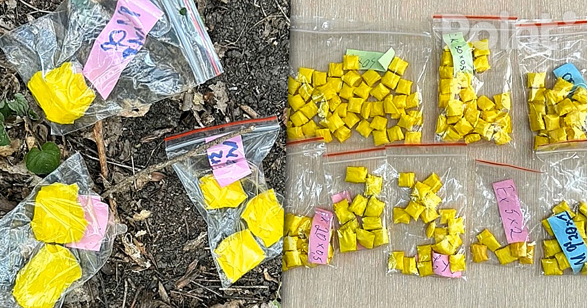 Droguri în valoare de un milion de lei, scoase din circuit de polițiști.