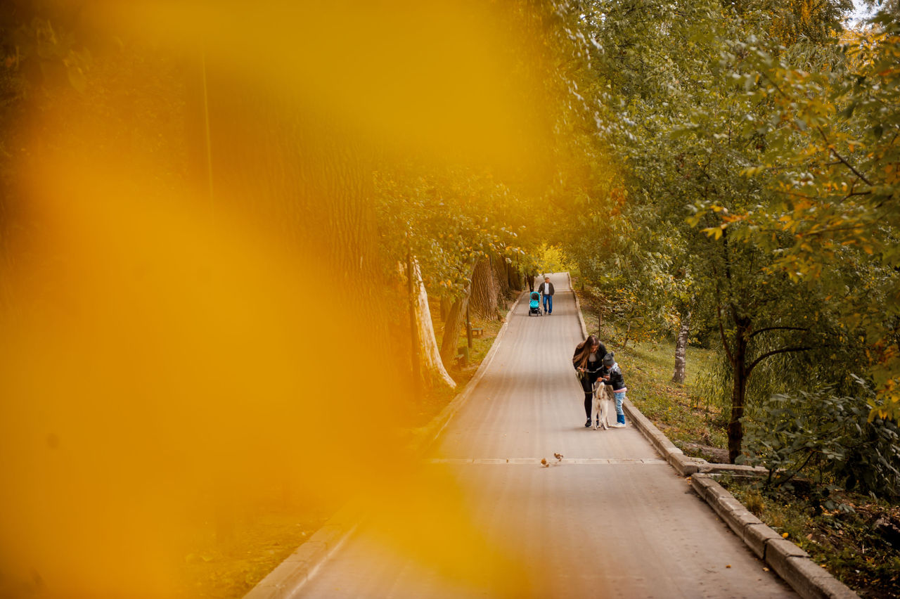 Temperaturi de +19 grade Celsius în ultima decadă de octombrie. Foto: Point.md.