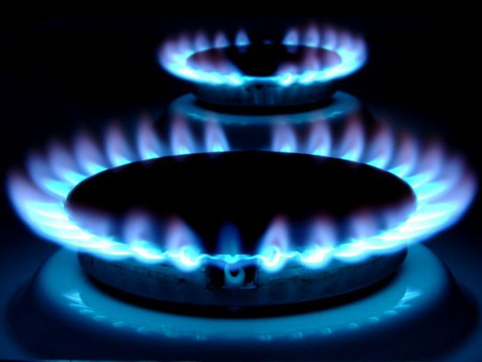 Potrivit echipei medicale de urgenţă, ambele s-au otrăvit cu gaz natural, eliminat de plita din bucătărie.
