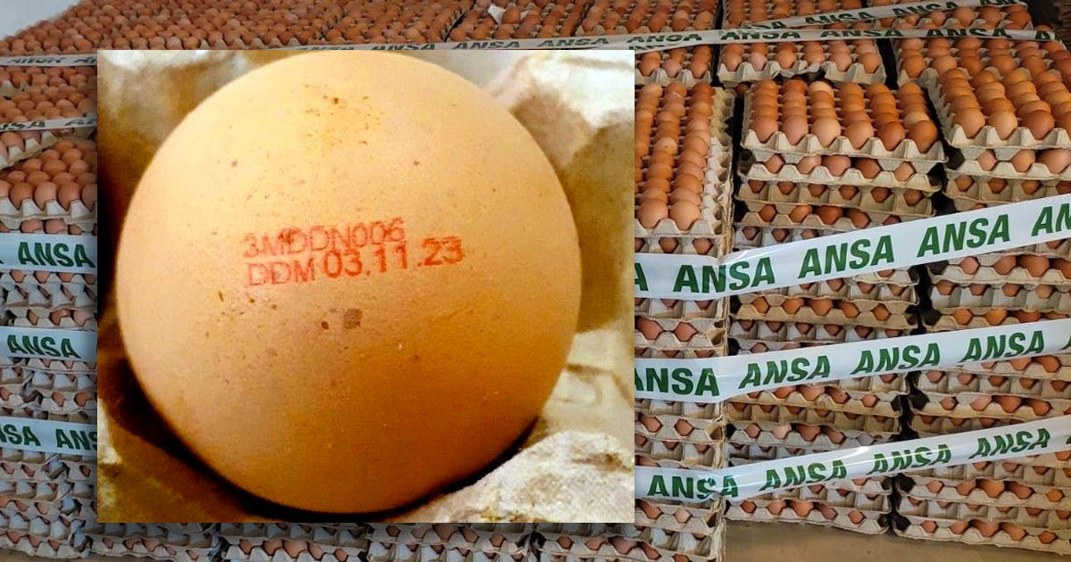 Сальмонелла в партии яиц: ANSA выводит продукт из торговли. Коллаж: Point.md