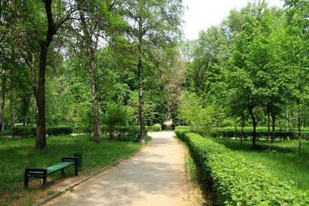Все незаконные постройки в парках Кишинева должны быть снесены.