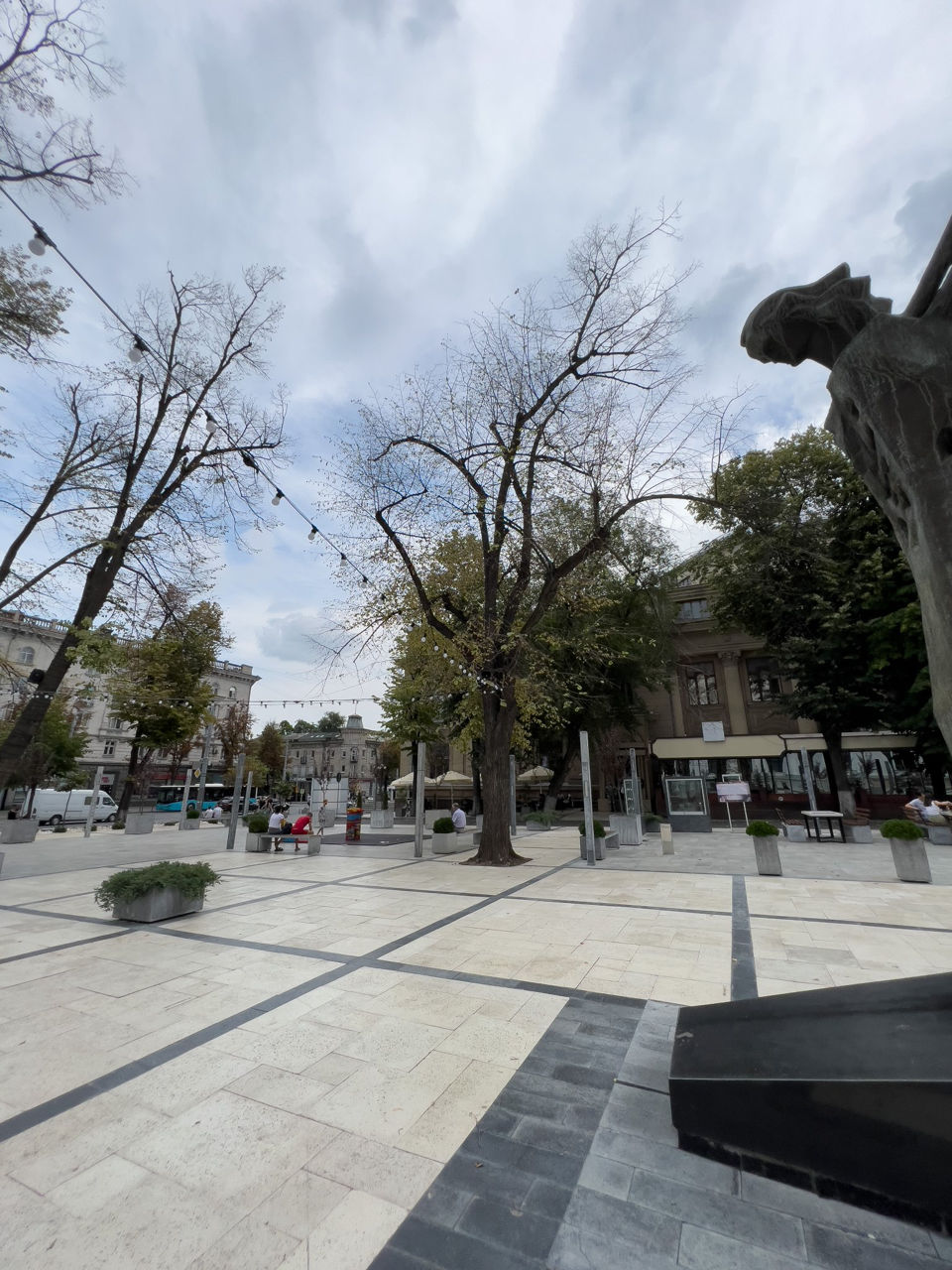 В сквере Михая Эминеску в Кишинева сохнут деревья.