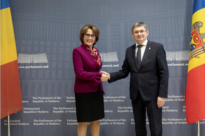 Председатель парламента Игорь Гросу встретился с румынскими сенаторами. 