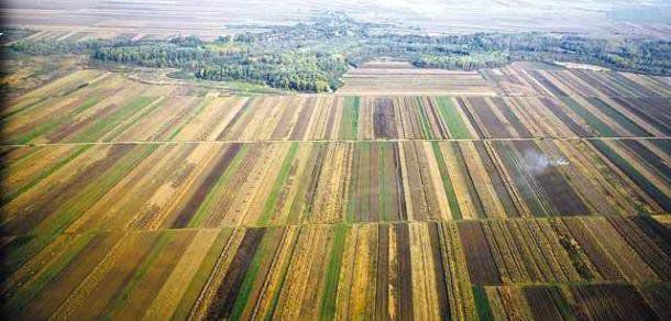 Agricultorii din stânga Nistrului vor primi 7,98 mln lei de la Guvern. Foto: deschide.md