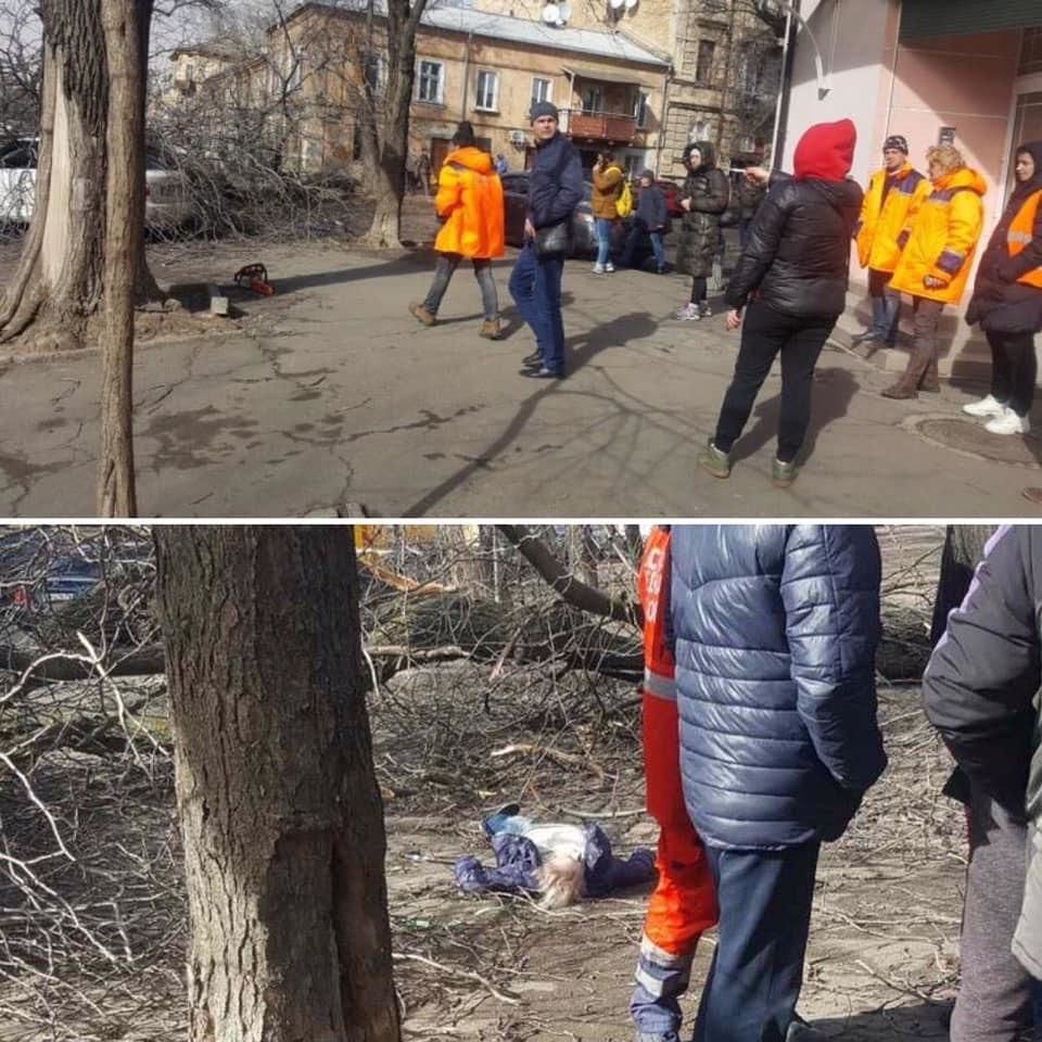 На улице Нежинской поваленное ветром дерево травмировало 69-летнюю женщину. 