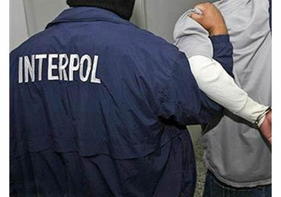 Обвиняемый экстрадирован на территорию РФ и в ближайшее время будут проведут следственные и процессуальные действия.