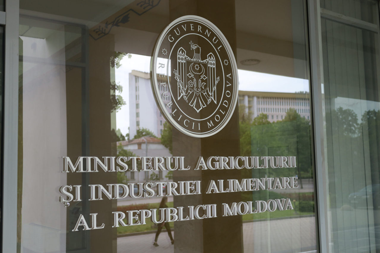Un audit a scos la iveală cheltuieli nejustificate de milioane de lei și încălcări la Ministerul Agriculturii.