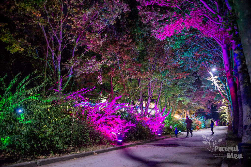 Pian multicolor, în parcul Valea Trandafirilor: Cântă cine vrea