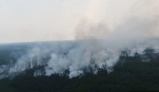 Дым от пожаров в лесах России окутал 610 городов и сел.