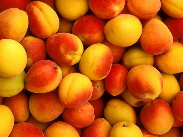 Установлено заражение более фруктовой продукции восточной плодожоркой.