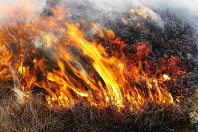 Пожарные совершили 26 выездов на возгорание сухой травы и мусора общей площадью около 70 га.
