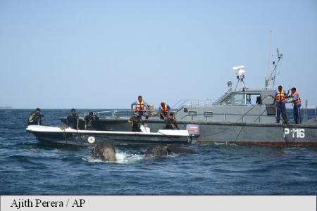 Sri Lanka: Doi elefanți, salvați de la înec în plină mare. Foto: Agerpres