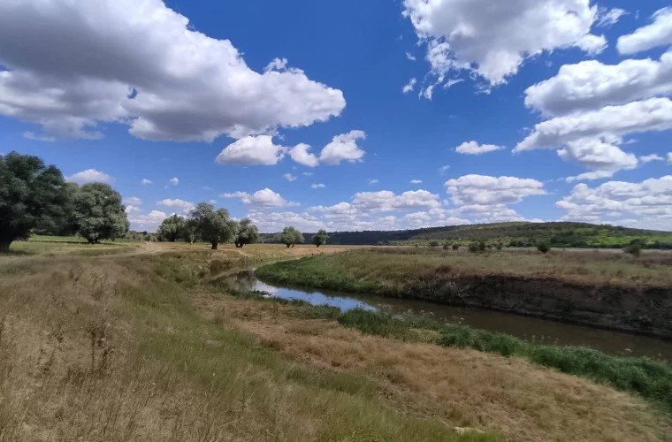 За незаконный лов рыбы на Реуте наложены штрафы в размере 3 тыс. леев.
