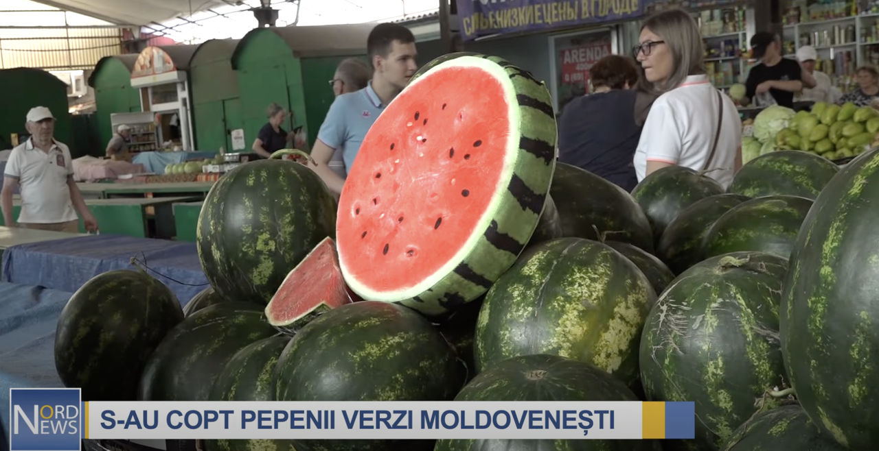 Фермеры на севере Молдовы собирают богатый урожай арбузов.