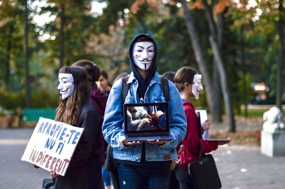 В Кишиневе студенты протестовали против жестокого обращения с животными.