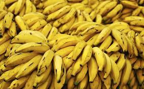 Cauza o reprezintă o infestare cu insecte care ameninţă să distrugă cea mai importantă parte din cultura de banane din 2013.