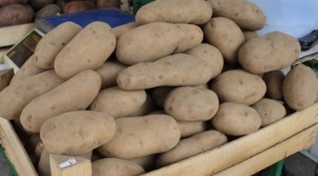 Скоро середина октября, но осеннее изобилие на оптовом овощном рынке на улице Албишоара не закончилось.