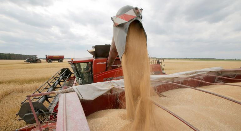 Mai multe țări cer introducerea cotelor de dinaintea războiului la importurile agricole ucrainene.