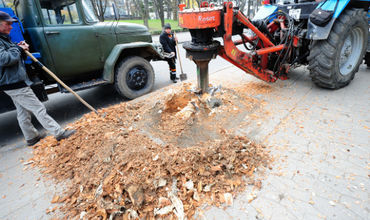 Recent de pe strada Mitropolit Gavriil Bănulescu-Bodoni din Chișinău au fost defrișați 18 arbori.