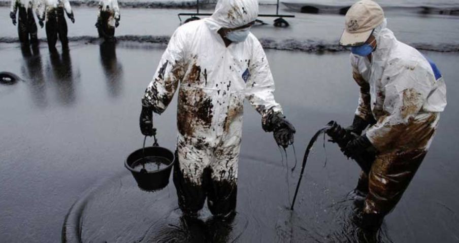 В Арктике обнаружены бактерии, «поедающие» нефть.