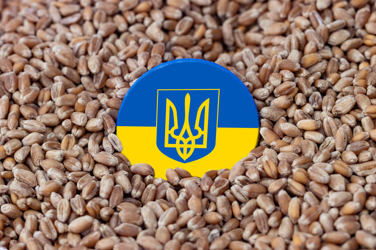 Украина приостановила разбирательство в ВТО по вопросу экспорта зерна.