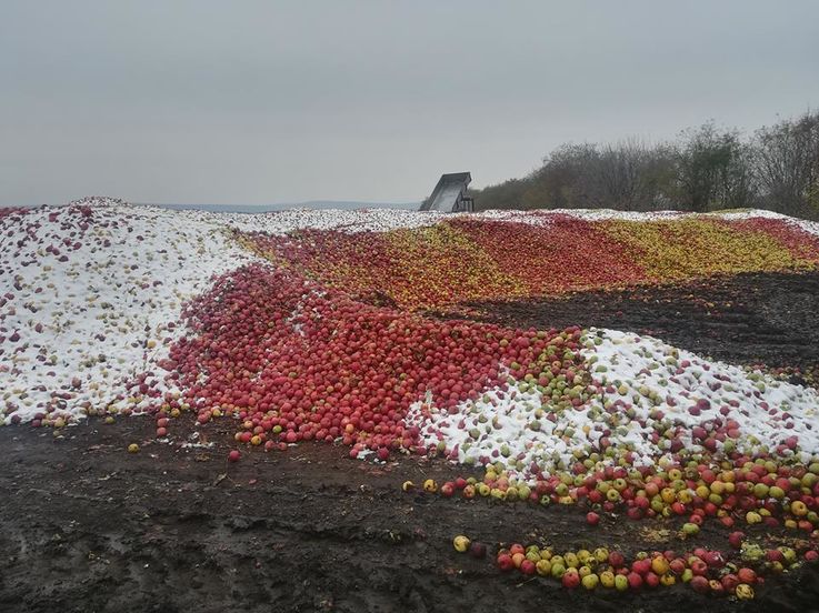 Cea mai tristă imagine surprinsă în această toamnă în Moldova