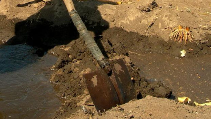Un paznic din oraşul Glodeni a fost ucis cu bestialitate de un alt paznic.
