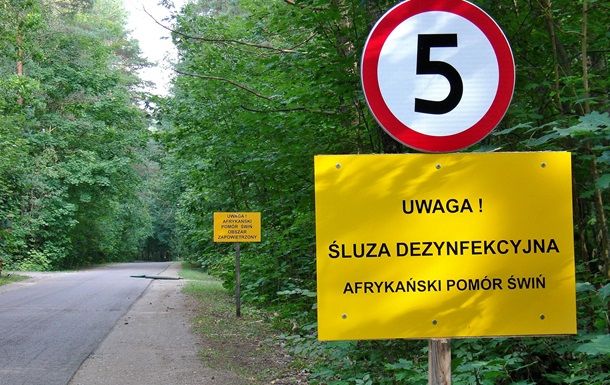 Польша планирует построить забор на границе с Украиной и Беларусью протяженностью 729 км в рамках борьбы с африканской чумой свиней (АЧС).