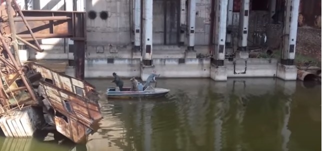 В Чернобыле сняли на видео спасение лося из радиоактивного озера.