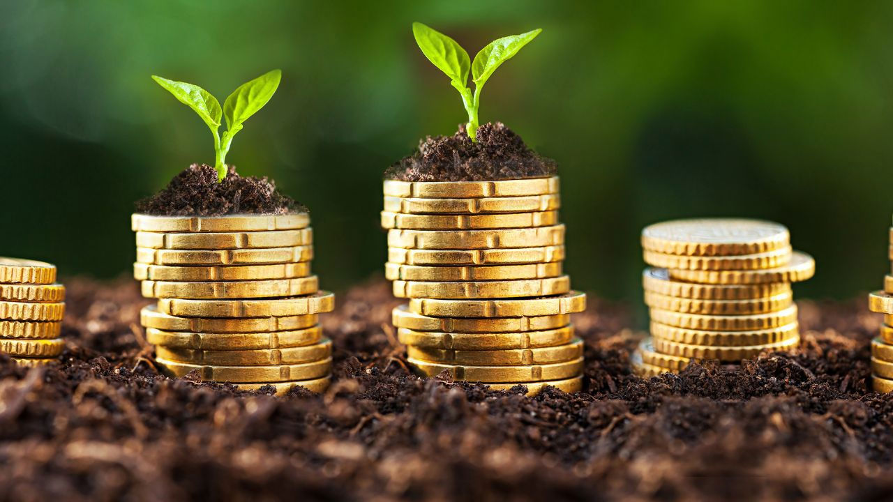 AIPA распределило субсидии на сумму более 280 миллионов леев.
