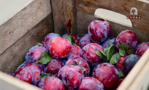 Владельцы небезопасной продукции привлечены к административной ответственности.