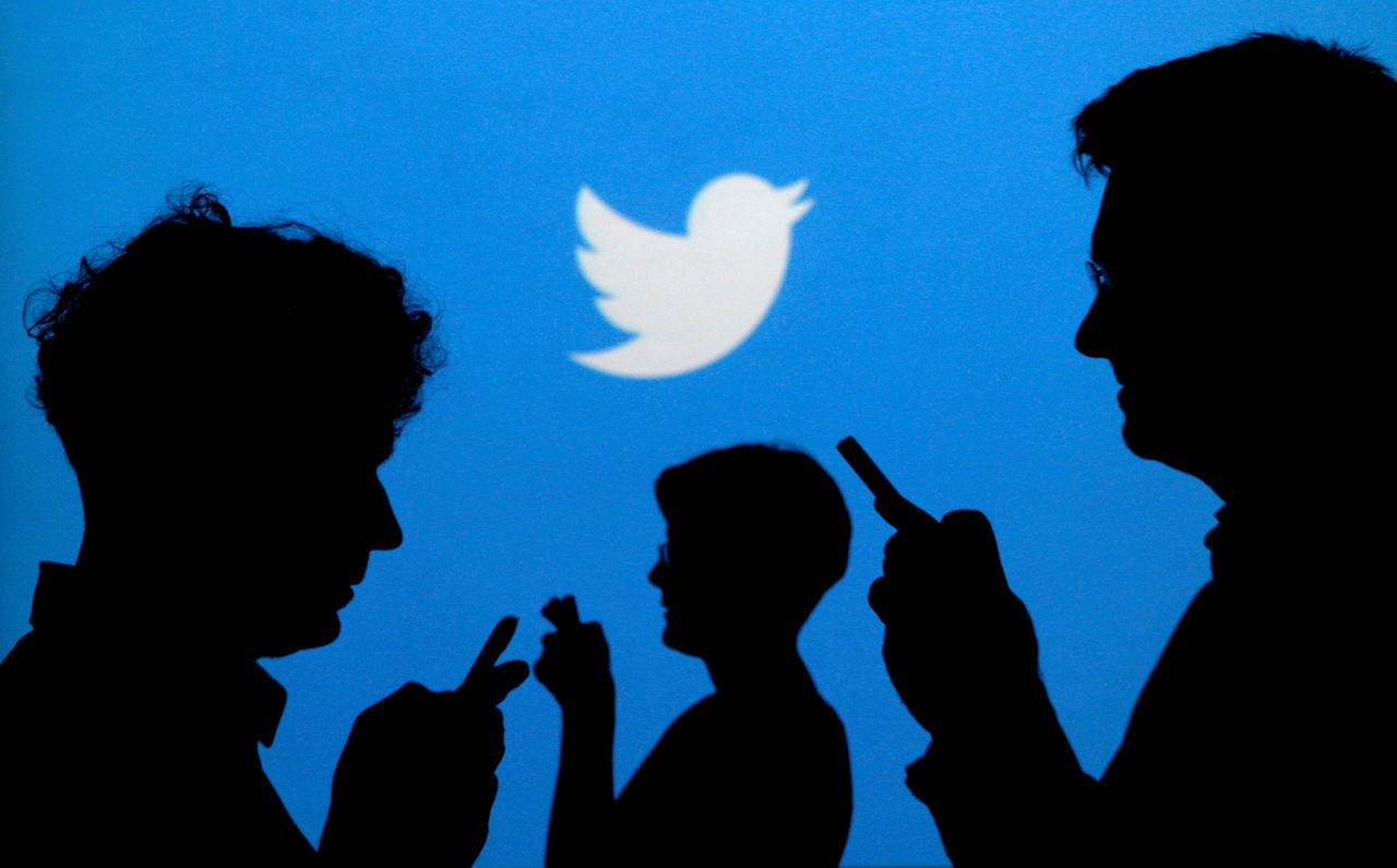 Twitter по ошибке верифицировал "аккаунт кота".