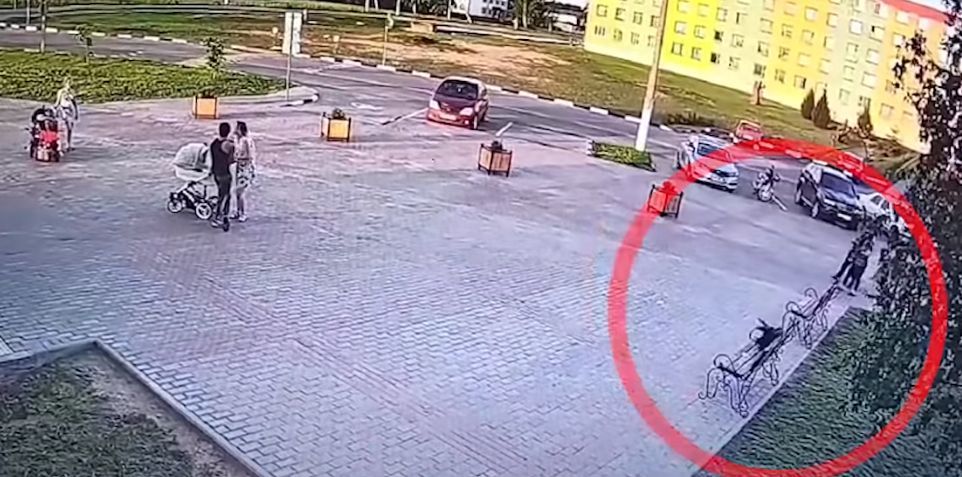 В Белоруссии ворона помогла вычислить грабителя.