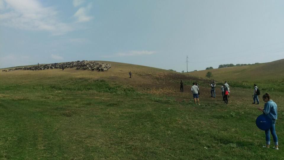 В Молдове снимают фильм про пастухов.